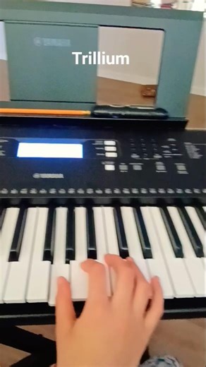 #piano how to play trillium in piano