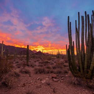 234 reactions · 14 shares | Arizona is overflowing with ways to explore the great outdoors. From the breathtaking vistas of the Grand Canyon to the sparkling turquoise waters of Lake Powell, Arizona delights solo travelers, couples and families alike. | Visit Arizona | Facebook