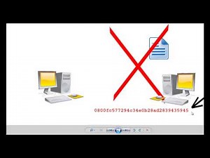 What is Hash and How to Extract Hash Values From Files