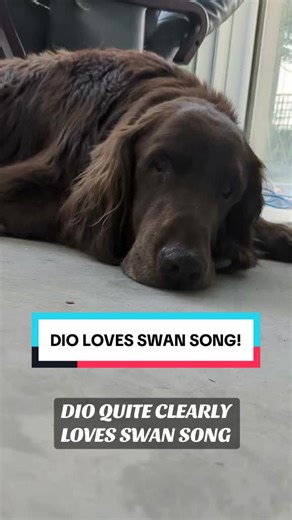 methodicalmadness on TikTok