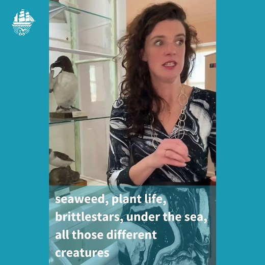 Stromness Museum on Reels