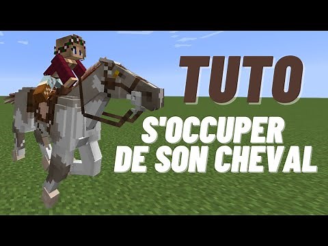 Comment s'occuper de son cheval !!! (Swem mod )