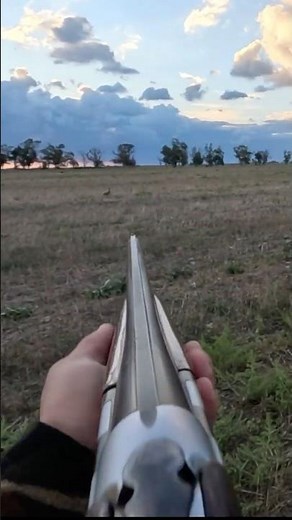 LEPRE con un FUCILE DEL 1960 - BERETTA S55 - LA VECCHIA GLORIA #besthunting #hunting #caza #gopro