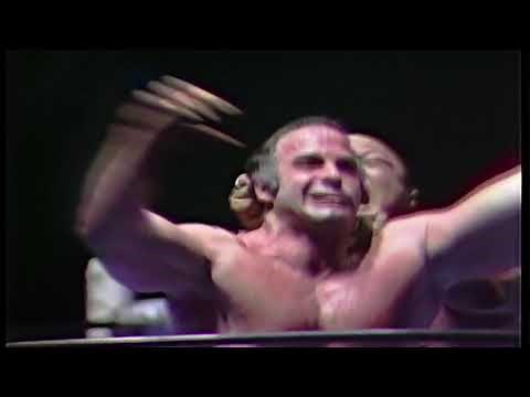 Mark Lewin vs. Professor Toru Tanaka (1980/04/11)