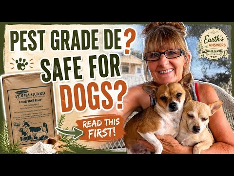 Food Grade, Filtration Grade, Pest Grade Diatomaceous Earth: What’s the Difference?