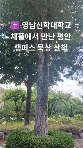 #영남신학대학교 #채플 #캠퍼스산책 #캠퍼스브이로그 #신학교 #기독교 #교회 #묵상 #힐링영상 #감성영상 #여름하늘 #구름맛집 #신앙생활 #Chapel #Christian