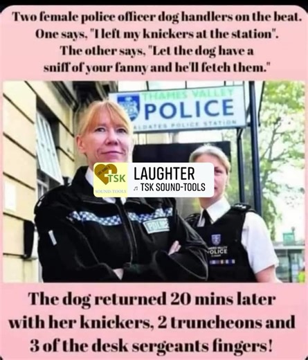 146K views · 1.4K reactions | Elizabeth Sheldrake on Reels | Facebook