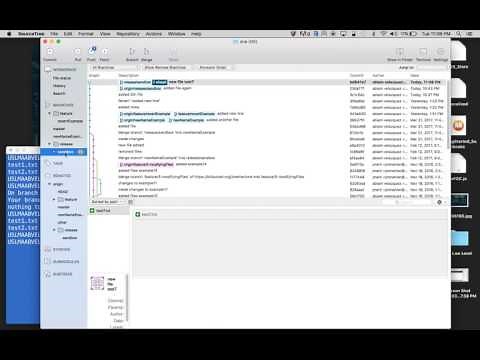 1 Git (Sourcetree) : undo or redo commit [local]