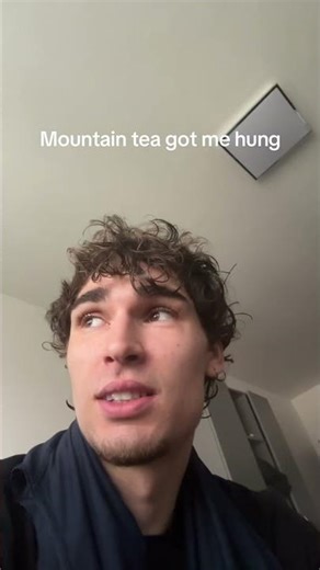 Slovakian mountain tea messed me up