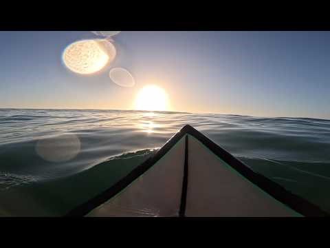 morning surf at forestry