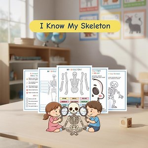 Human Skeleton Printable for Kids – Moving Skeleton Craft PDF | Anatomy Busy Book Science Activity - Etsy Canada