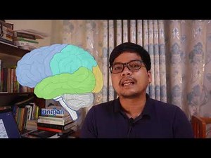 ប្រព័ន្ធប្រសាទមនុស្ស៖ មជ្ឈមណ្ឌលប្រសាទ និងបរិមណ្ឌលប្រសាទ | ថ្នាក់ទី12