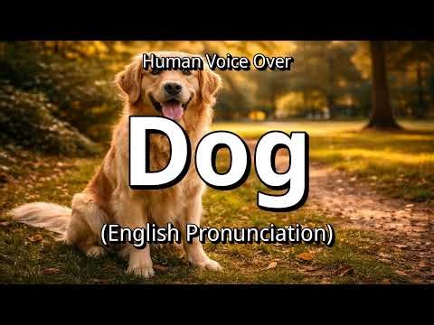 👉 How To Say: Dog - English Pronunciation