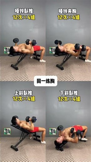The Ultimate Beginner's 1-Week Home Workout Guide! Start Your Fitness Journey Now