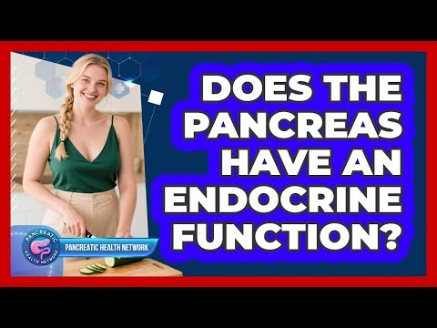 Does the Pancreas Have an Endocrine Function?