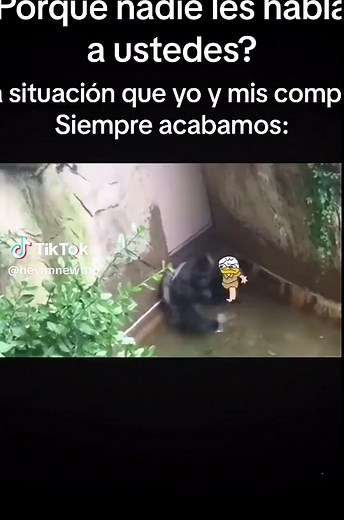 Mickey Mouse Memes and Animation | Sr. Pelo