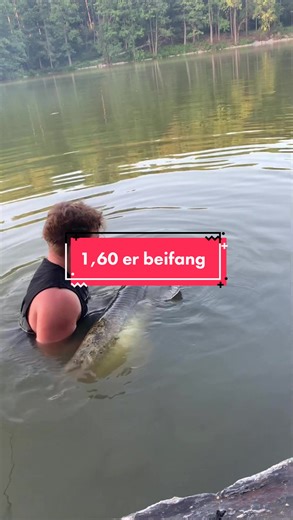 #dmfishing #fy #fypシ #foryou #foryoupage #beifang #catfish