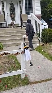109K views · 4K reactions | We love getting calls for help when people can't leave their home because a dog won't leave their porch...❤️ This little pup was starting his trick or treating a little too early this year! Lol Thank you Alicia Rios for taking such good care of this little guy and keeping him safe. | Pound Buddies | Facebook