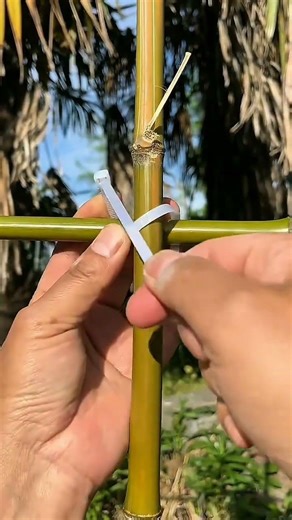 Proper way to tie bamboo using cable ties, creating a strong, neat, and secure connection.