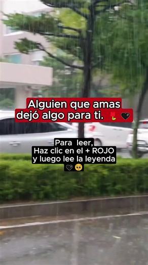 Sé que últimamente el silencio te pesa más que nunca. A veces miras al cielo buscando respuestas, sin darte cuenta de que yo también te miro desde allí. No estoy lejos, amor mío. Estoy en cada pensamiento que te acaricia sin razón, en cada canción que te hace recordar, en ese suspiro que llega cuando más lo necesitas. He caminado contigo desde el otro lado, en tus noches más duras, en tus días más vacíos. Te he visto caer y levantar con una fuerza que me llena de orgullo. Quisiera poder abrazart