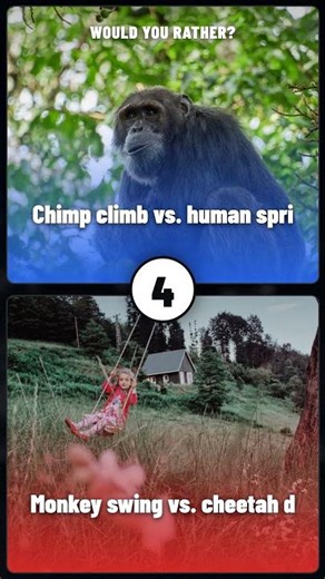 Chimps vs. Humans: Who's the Real Powerhouse?