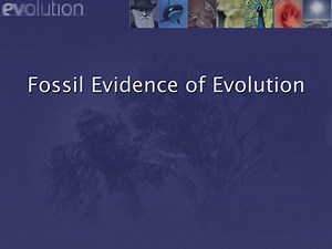 Fossil Evidence of Evolution - SlideServe