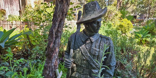 The Australian Conscription Debates Lesson