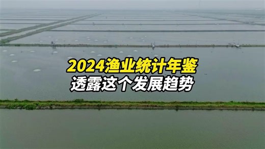2024渔业统计年鉴，透露了这个发展趋势