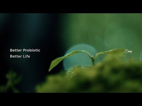 SYNBIOTECH | Gut Health | Probiotic Manufacturing & Research