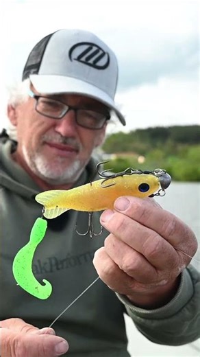 So montiert man den Mr. Prop richtig! #fishing #pike