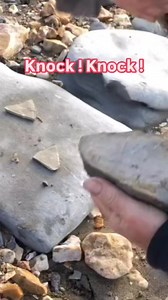 A fossil ammonite I filmed, that @mikeharrisonfossils found ! See more of my films 🎥 on YouTube “ Lyme Regis Fossils,”there is a link 🔗 in my bio to my channel @brandonfossils ! #lymeregis#lymeregisbeach#fossilfreak | Amazing world