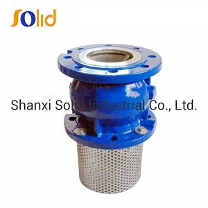 [Hot Item] Ductile Iron Flanged Foot Valve with Stainless Steel Strainer