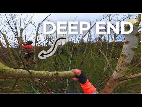 Apprentice in the deep end with this windy day reduction, nowhere to drop