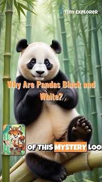 Why Are Pandas Black and White? 🐼✨ Learn Fun Facts! #pandas #animalfacts #wildlife #bamboo