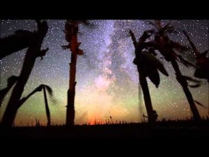 Andreas Vollenweider - Dancing With The Lion (HD)