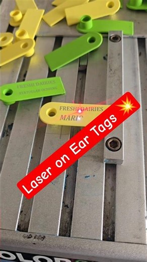 Precision Laser Marking Animal Ear Tags 🐄🔥 | Custom Farm Identification Made Easy