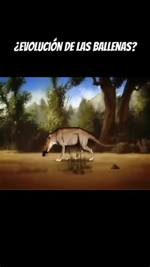 Evolución de las ballenas: Una Historia Fascinante