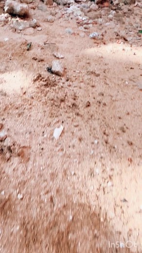 Confucation Time Funny Compilation Video