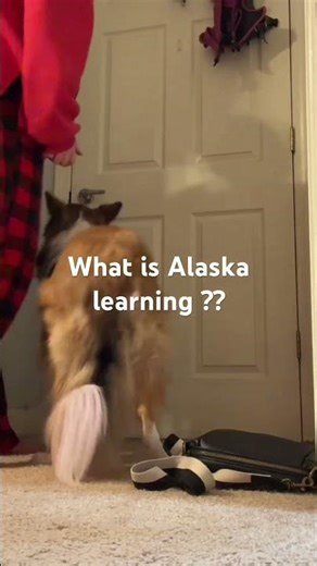 What is she learning ? ( easy edition )