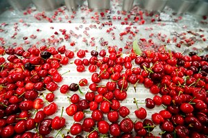 #DidYouKnow: Producers of cherries, wine and mushrooms are using SunPower solar energy to cut electricity costs and reduce their carbon footprint. | SunPower