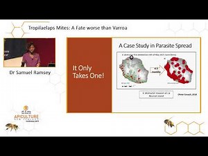Dr Sammy Ramsey - The Tropilaelaps Mite: A Fate Far Worse Than Varroa