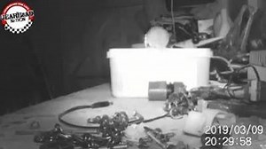 2M views · 15K reactions | Ok, YOU'VE GOT TO SEE THIS! Every morning, retired 72 year-old Stephen Mckears kept finding his tools that he'd left on his workbench the day before, stored back in his toolbox. He put a camera on his workbench overnight. It revelead a mouse that spent two hours every night putting everything back in the toolbox! | Mechanic and Machines | Facebook