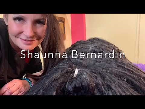 Grooming & Maintenance Tips and TricksThe Hungarian Puli Dog in Full Cords AKA Dreads