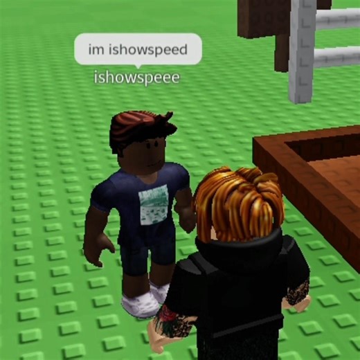 Bro really needs a raccoon 💀😅 #growagarden #gag #roblox #memes #funnyshorts #fyp #fy #viral #shorts