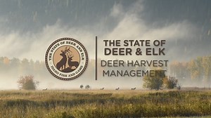 Idaho Fish and Game Regional Wildlife Biologist, Eric Freeman, discusses how wildlife biologists manage deer harvest for different scenarios, such as habitat protection, maximum herd numbers, or disease prevention. - See more from our State of Deer and Elk series: https://idfg.idaho.gov/stateofdeerandelk | Idaho Fish and Game (IDFG)