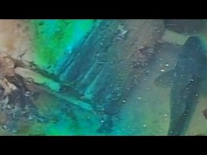 Ship lost for 168 years found in the Arctic