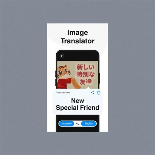 T11 Language Translator en