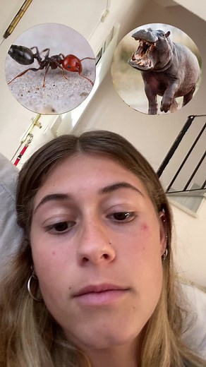 Amazing Animal Gallery: Stunning Images of Wildlife