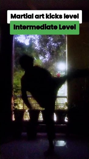 Martial art kicks level.