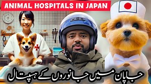 35K views · 1.7K reactions | Japan Ka Animal Hospital  | Animal Hospital in Japan #pet #care #japanlife #japaneseculture | OneLife With Shoaib | Facebook